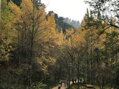 -青城山