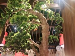 -老阿爸鲜鱼土菜(园区永旺店)