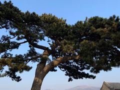 -妙峰山风景名胜区