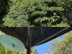 -窦圌山风景区
