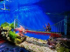 -太平洋海底世界