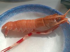 -半岛听涛蒸汽海鲜自助(K11店)