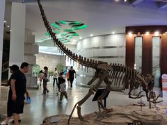 -自贡恐龙博物馆