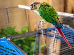 -盤古Spa泰式古法抓龙筋(鲁迅路店)