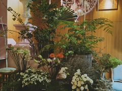 -蝶舍·MAISON PAPILLON