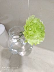 -HEYAN荷妍专业脱毛连锁机构