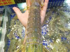 -欢乐海岸美食联盟