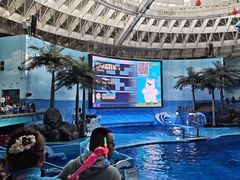 -海合安成都极地海洋公园