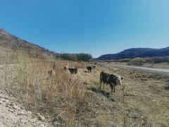 -西拉沐沦大峡谷园区