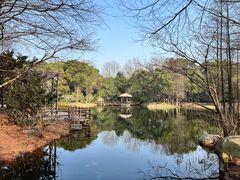 -上海滨江森林公园