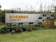 -前小桔亲子创意农场·草莓采摘·露营烧烤