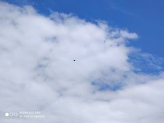 -安徽正宗牛肉板面(南十三路店)