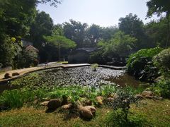 -深圳国际园林花卉博览园