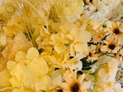 -重庆长寿碧桂园凤悦凤凰酒店