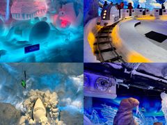 -海合安成都极地海洋公园