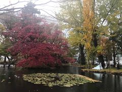 -北海道厅旧本厅舍(旧本庁舎)