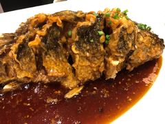 -金春禧(世茂国际广场店)