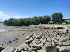 -宝安西湾红树林湿地公园