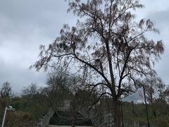 -青岩古镇