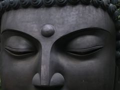 -杭州植物园