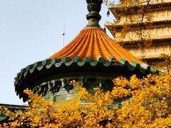 -北京石刻艺术博物馆(五塔寺)
