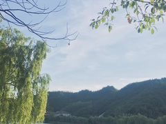 -明月山天沐温泉度假村