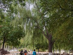 -阿尔丁植物园