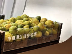-introlemons(北京西单更新场店)