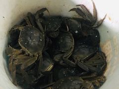 -锦绣大地生鲜食品厅(巨山路店)