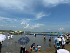 -呼兰河口湿地公园