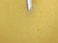 -秦扬居特色菜馆(上王村)