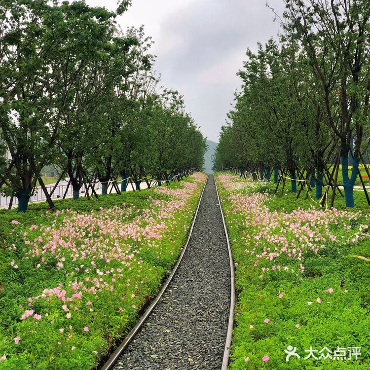 南京一日游🔥江苏园博园吃游行一站式攻略📝