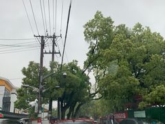 -汉堡王(常熟美城店)