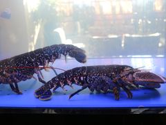 蓝龙虾-AZUR聚(香格里拉饭店)