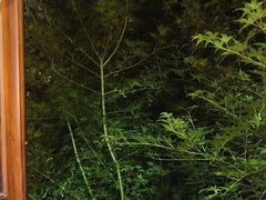 -苏城小院·园林精致苏州菜(斜塘老街店)