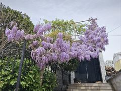 -石岛赤山风景区