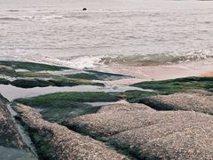 -日照灯塔风景区