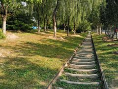 -永定河休闲森林公园