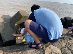 -南汇嘴观海公园