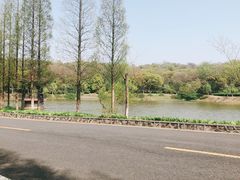 -宜兴龙背山森林公园