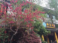 -钦善斋(武侯祠店)