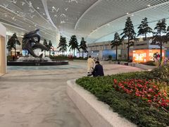 -青岛胶东国际机场