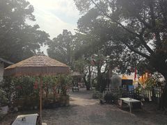 -长洲岛都市农业公园