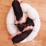 南宁有趣小店·喵庄园