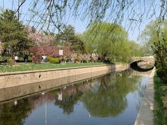 -海棠花溪(元大都城垣遗址公园)