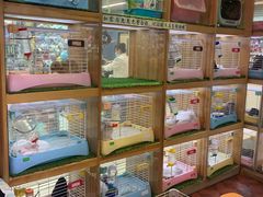 -宠物兔专门店(天丰利市场店)