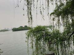 -西湖游船