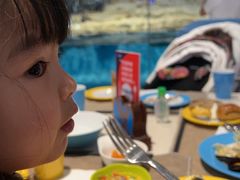 -帝企鹅自助餐厅•儿童岛•真企鹅(长隆企鹅酒店)