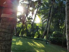 -三亚湾海居铂尔曼度假酒店