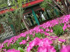 -西宁市人民公园(城西区)